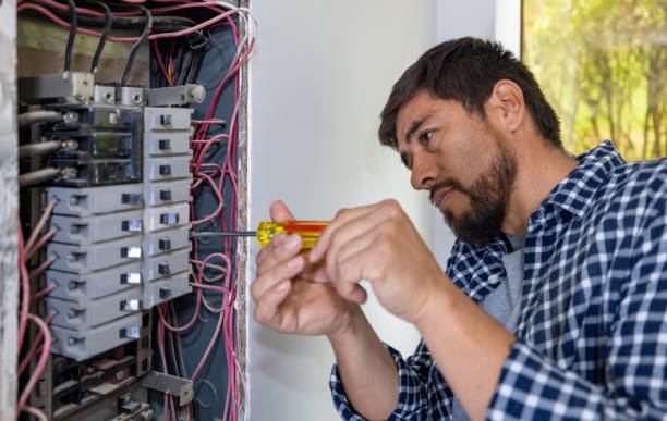 Best Electric Panel Repair  in Laie, HI
